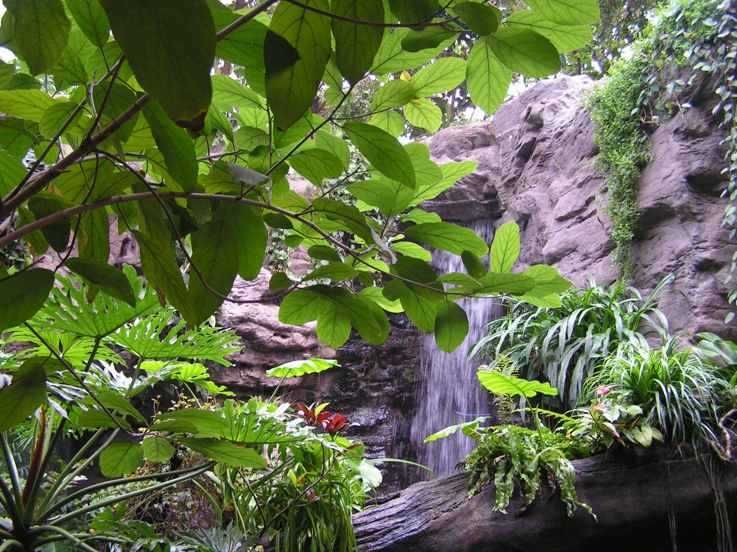 Beijing_20060803_036.jpg